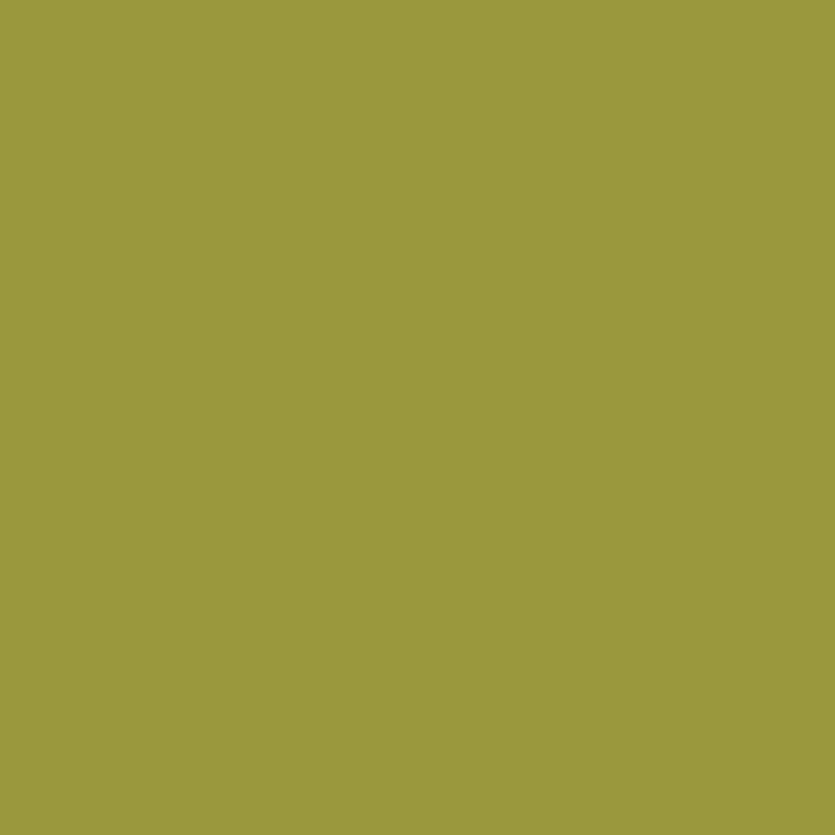 2146-20 Forest Moss - Paint Color | East Bay Paint Center