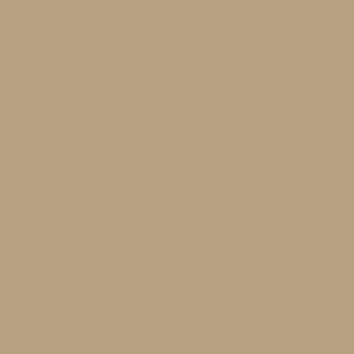 1054 Sherwood Tan - Paint Color | East Bay Paint Center