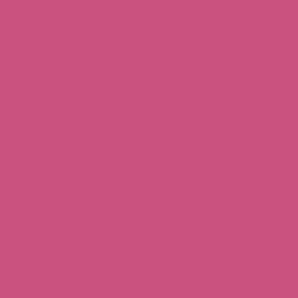 1348 Razzle Dazzle - Paint Color | East Bay Paint Center