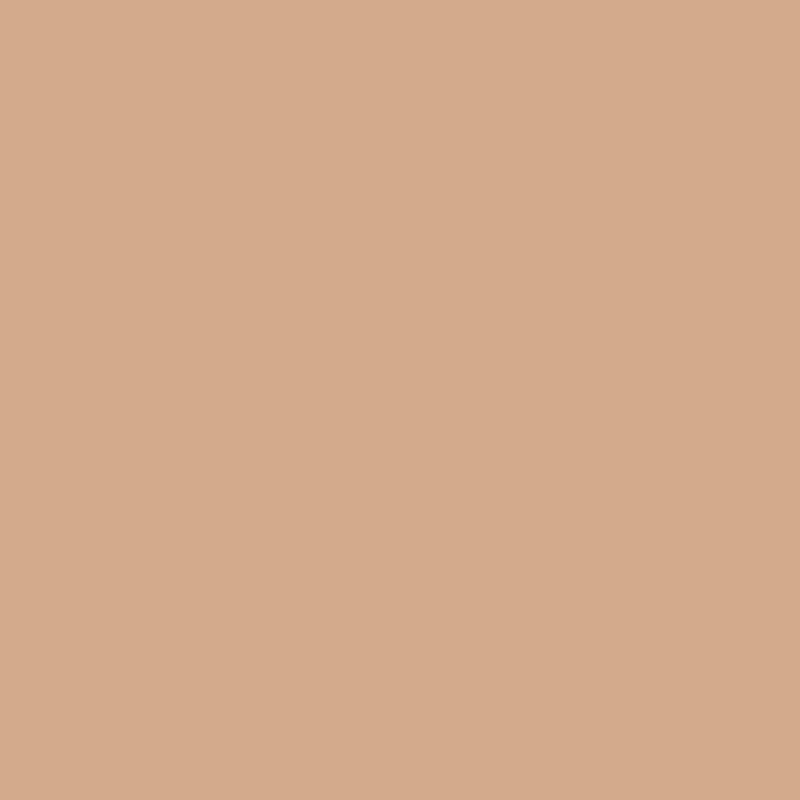 CC-380 Toffee Cream - Paint Color