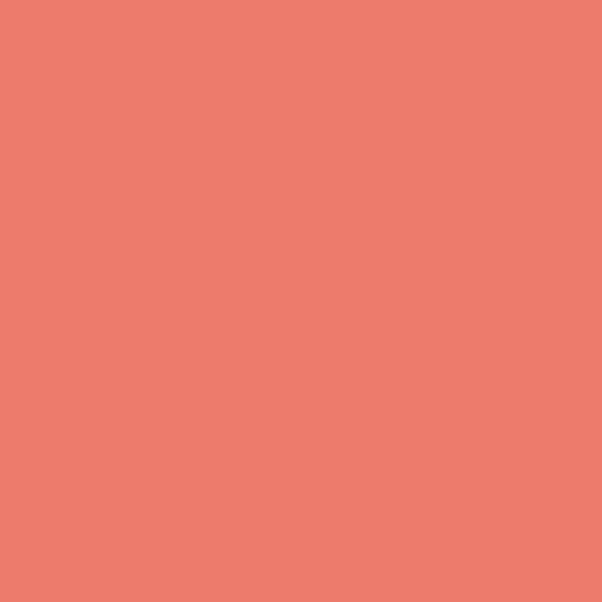 013 Fan Coral - Paint Color | East Bay Paint Center